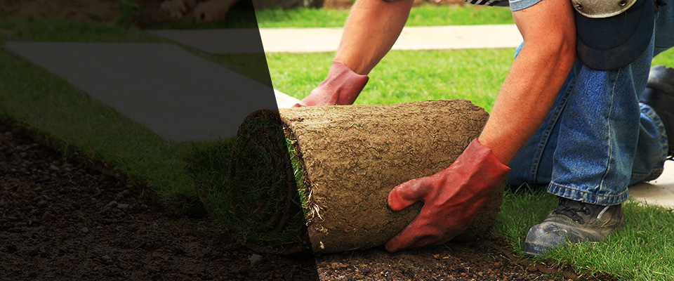 New Columbia Landscapers